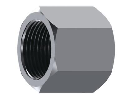 Bouchon femelle gaz BSP inox 316L