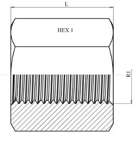Manchon femelle-femelle BSP inox 316L – schéma coté