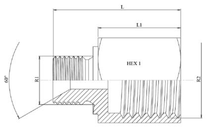 Bouchon réducteur mâle BSP 60° - femelle gaz inox 316L – schéma coté
