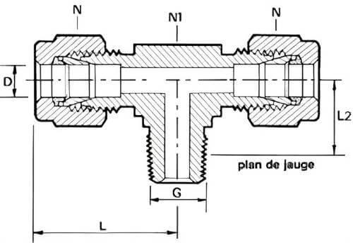 Schéma té mâle