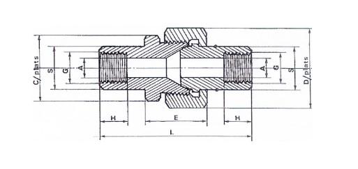 Unions doubles femelles