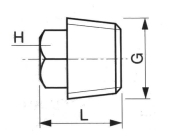 Bouchon Mâle Tête Carrée Inox