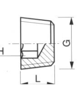 Bouchon Mâle Hexagone Creux Inox