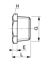 Bouchon Mâle Tête hexagonal Inox Série 3000