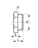 Bouchon Mâle Tête Hexagonale Cylindrique Inox