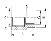 Réduction Femelle / Femelle Inox