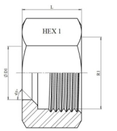 Écrou DIN 3870 inox 316L
