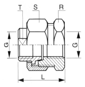 Union femelle/femelle