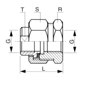 Union femelle/femelle