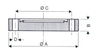 Bride Pleine ISO CF Trous Lisses